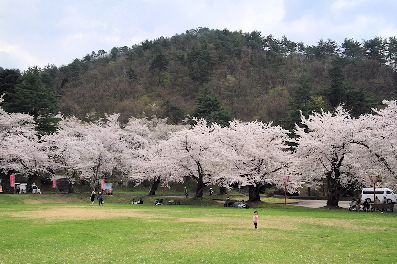 真人公園の風景