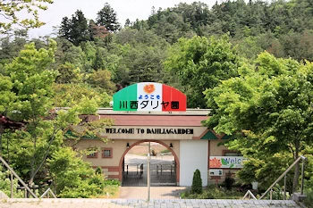 川西ダリヤ園の風景