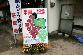 佐藤観光ぶどう狩り園の風景