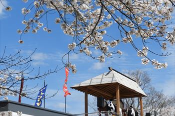 舞鶴公園の風景