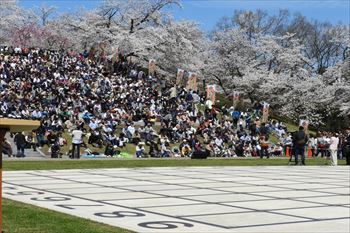 舞鶴公園の風景