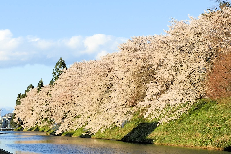 霞城公園の風景