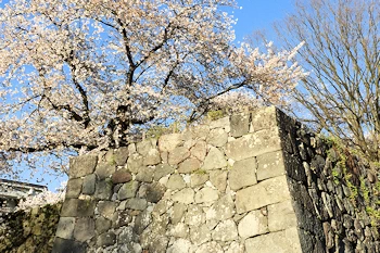 霞城公園の風景
