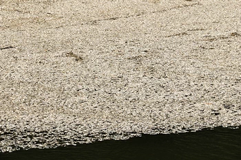 霞城公園の風景