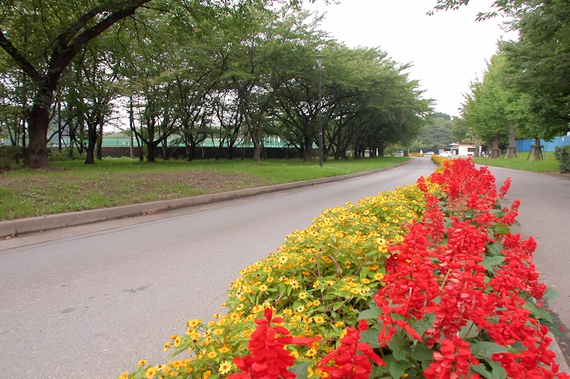 霞城公園の風景