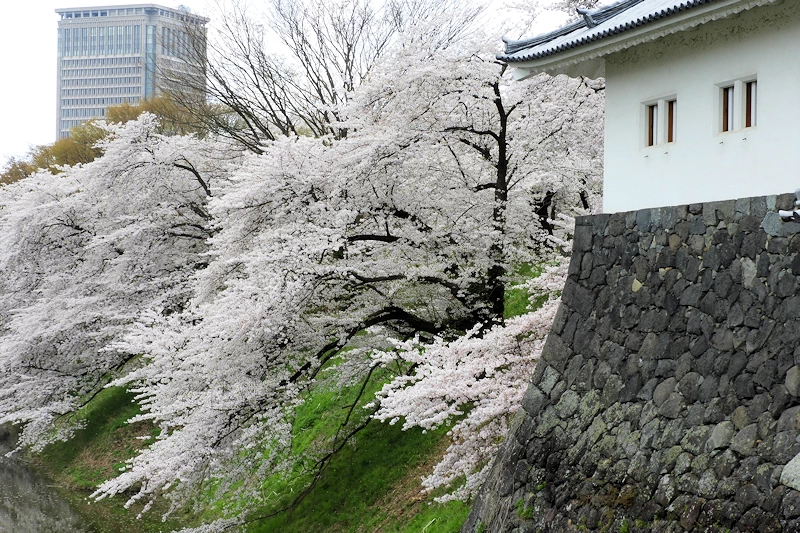 霞城公園の風景