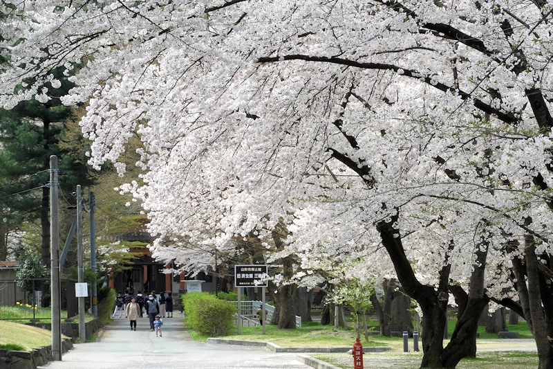 霞城公園の風景