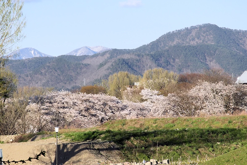 霞城公園の風景