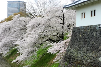 山形城跡の風景