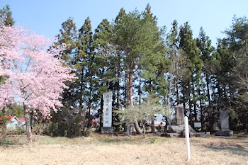 戸ノ口原古戦場跡の画像