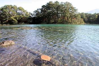 毘沙門沼の画像