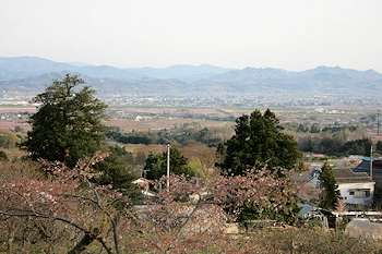 国見サービスエリアの画像