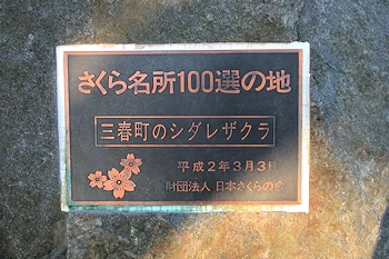 三春滝桜の風景