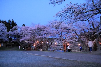 三春滝桜の風景