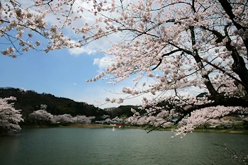 蛇の鼻遊楽園の画像