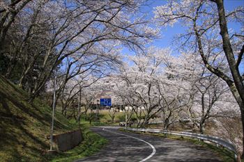 二本松城の風景