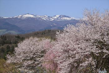 二本松城の風景
