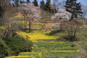 二本松城の風景