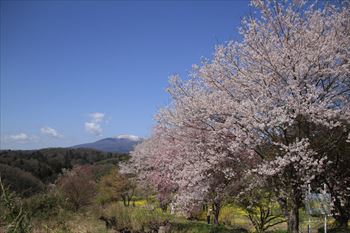 二本松城の風景