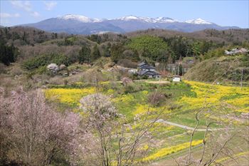 二本松城の風景