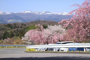 二本松城の風景