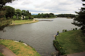 大池公園の風景