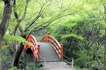 矢祭山公園の画像