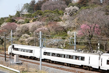 特急ひたちの風景