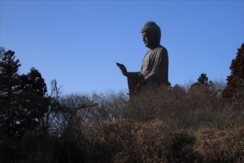 牛久大仏の風景