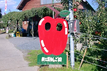 奥久慈りんご園の風景