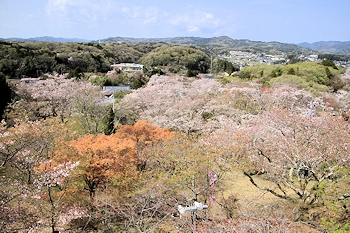 西山公園の風景