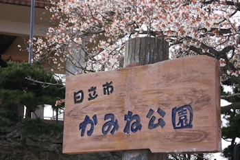 かみね公園・平和通りの風景