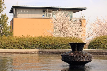 かみね公園・平和通りの風景