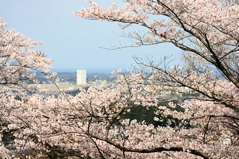 かみね公園・平和通りの風景