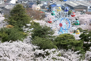 かみね公園・平和通りの風景