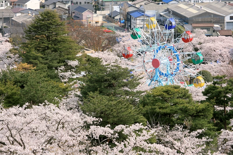 かみね公園・平和通りの風景