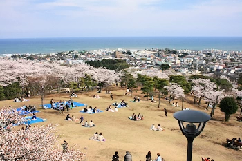 かみね公園・平和通りの風景
