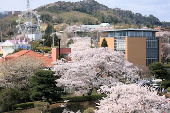 かみね公園・平和通りの風景