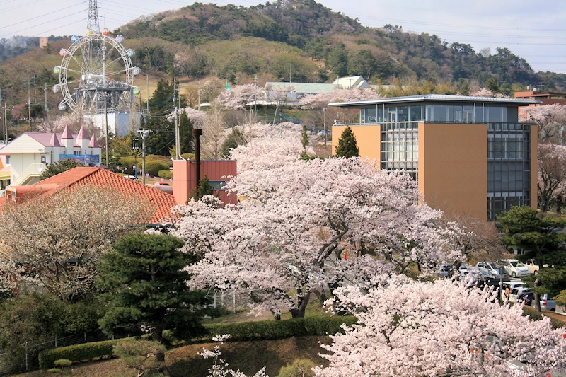 かみね公園・平和通りの風景