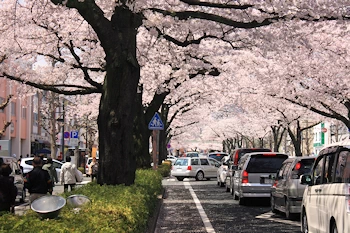 かみね公園・平和通りの風景