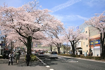 かみね公園・平和通りの風景