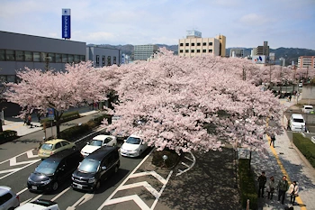 かみね公園・平和通りの風景