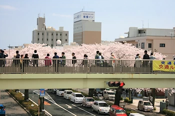 かみね公園・平和通りの風景