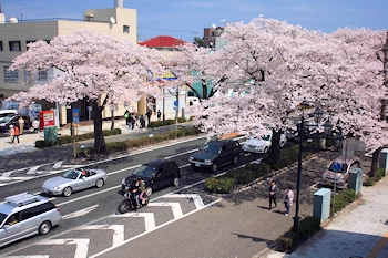 かみね公園・平和通りの風景