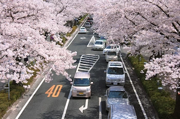 かみね公園・平和通りの風景
