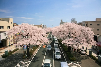 かみね公園・平和通りの風景