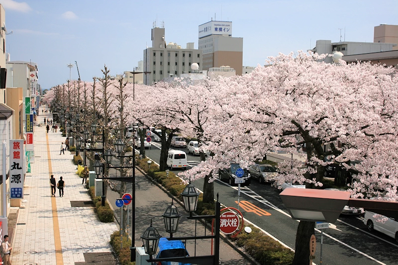 かみね公園・平和通りの風景