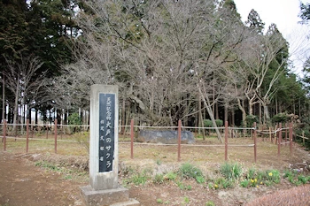 大戸の桜の風景