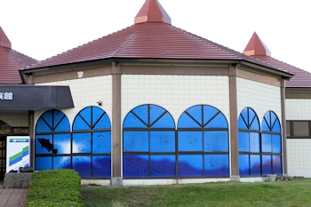 かすみがうら市水族館の風景