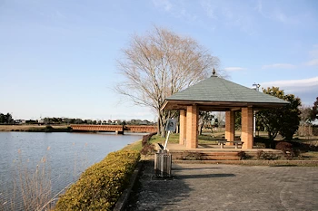 かわち水と緑のふれあい公園の風景